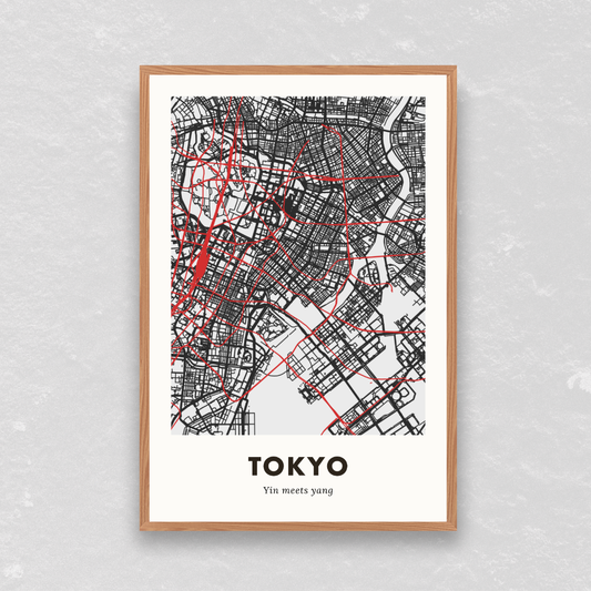 Tokyo City Map - Printed