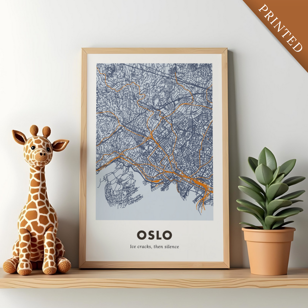 Oslo City Map - Printed