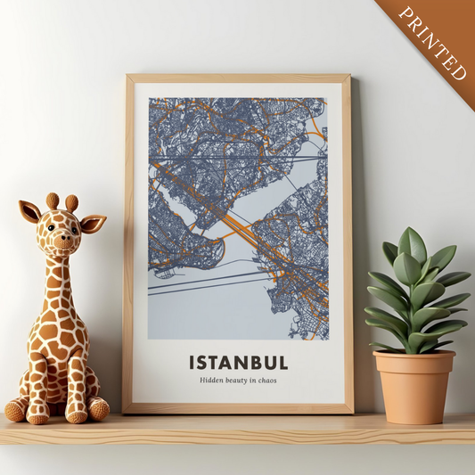 Istanbul City Map - Printed