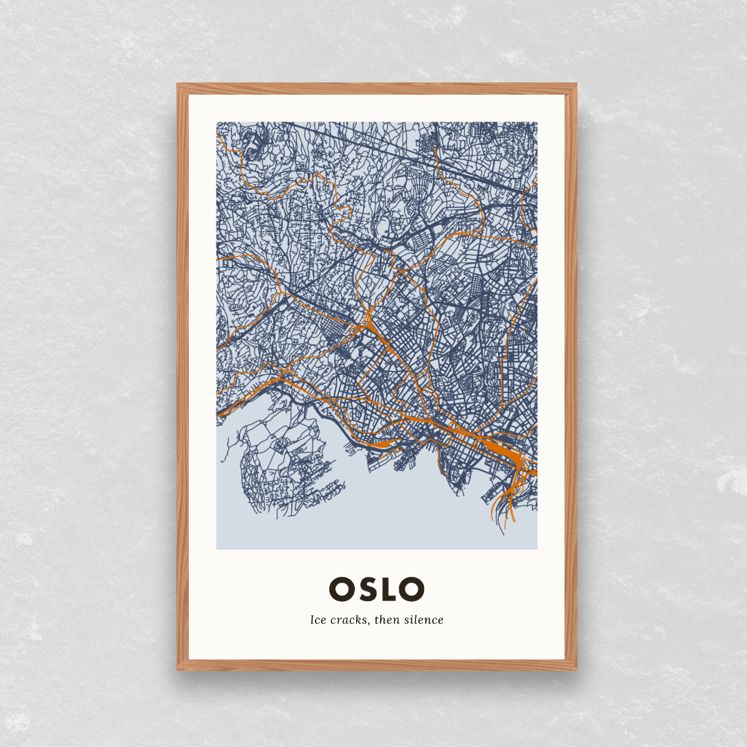 Oslo City Map - Printed