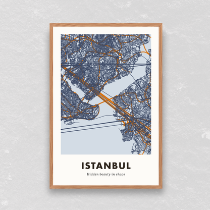 Istanbul City Map - Printed