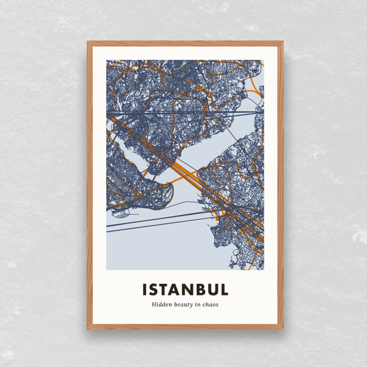 Istanbul City Map - Printed
