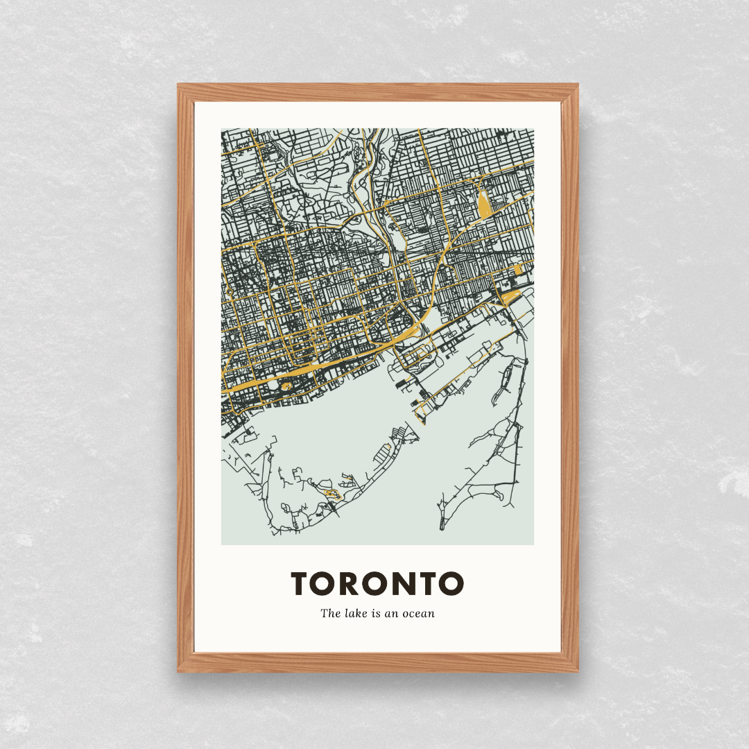 Toronto City Map - Printed