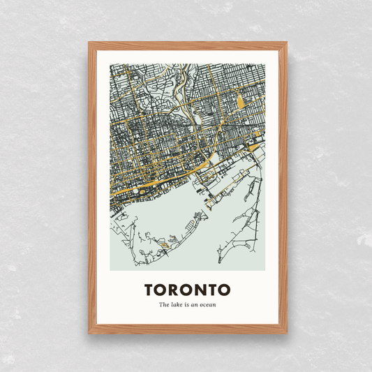 Toronto City Map - Printed