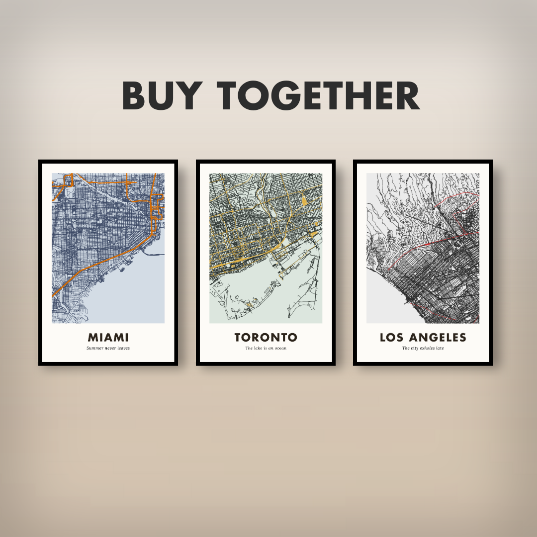 Toronto City Map - Printed