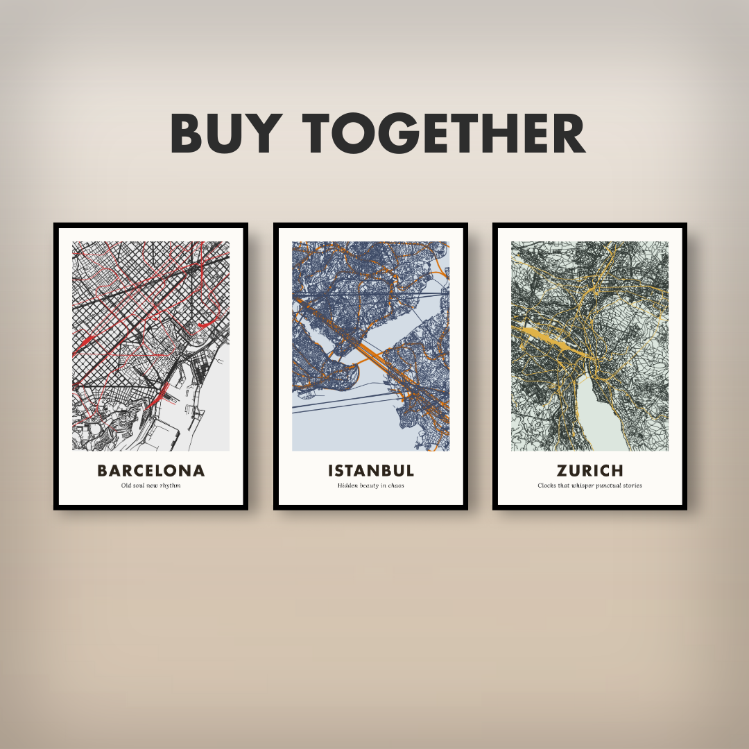 Istanbul City Map - Printed