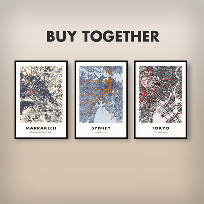 Sydney City Map - Printed