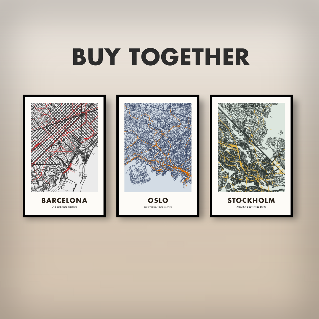 Oslo City Map - Printed