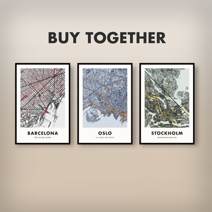 Oslo City Map - Printed