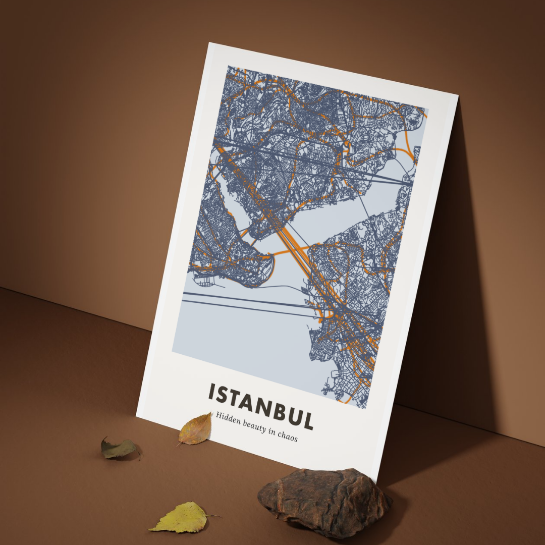 Istanbul City Map - Printed