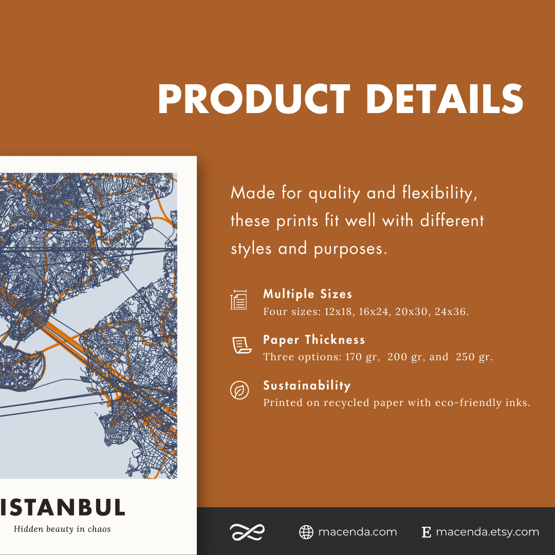 Istanbul City Map - Printed